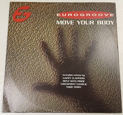 Eurogroove Move Your Body Vinyl Record 12  45 RPM Maxi Single AVEX T22 Avex 1995