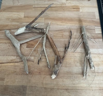 Fotos del artículo de un comprador verificado