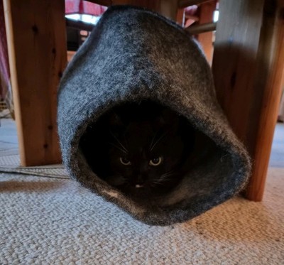 Artikelfoto(s) von einem verifizierten Käufer