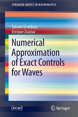 Numerical Approximation of Exact Controls for Waves by Sylvain Ervedoza (English