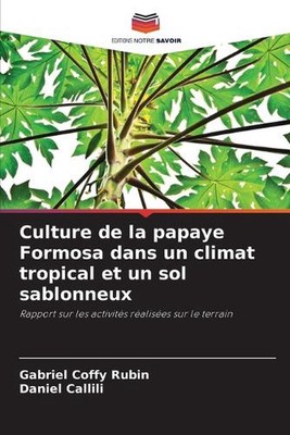 Culture de la papaye Formosa dans un climat tropical et un sol sablonneux by Gab