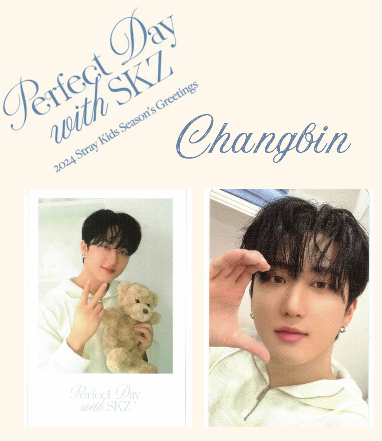 Stray Kids - StrayKids SEASONS GREETINGS  チャンビン 新品未開封 Stray Kids - StrayKids SEASONS GREETINGS チャンビン 新品未