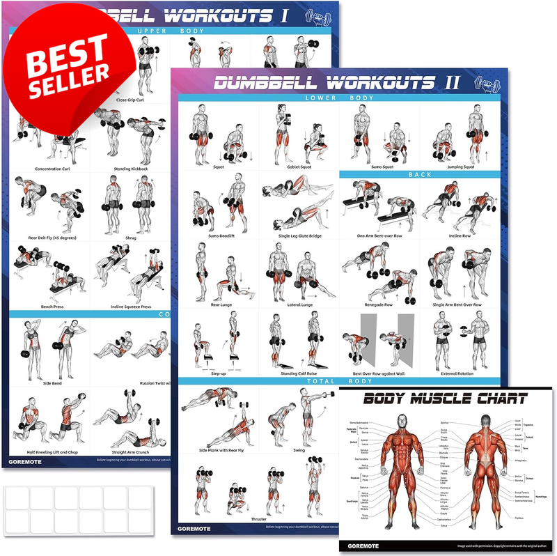 Dumbbell Workout Posters 2 Pack 18x24 Home Gym Exercise Charts Vol 1 2 - US