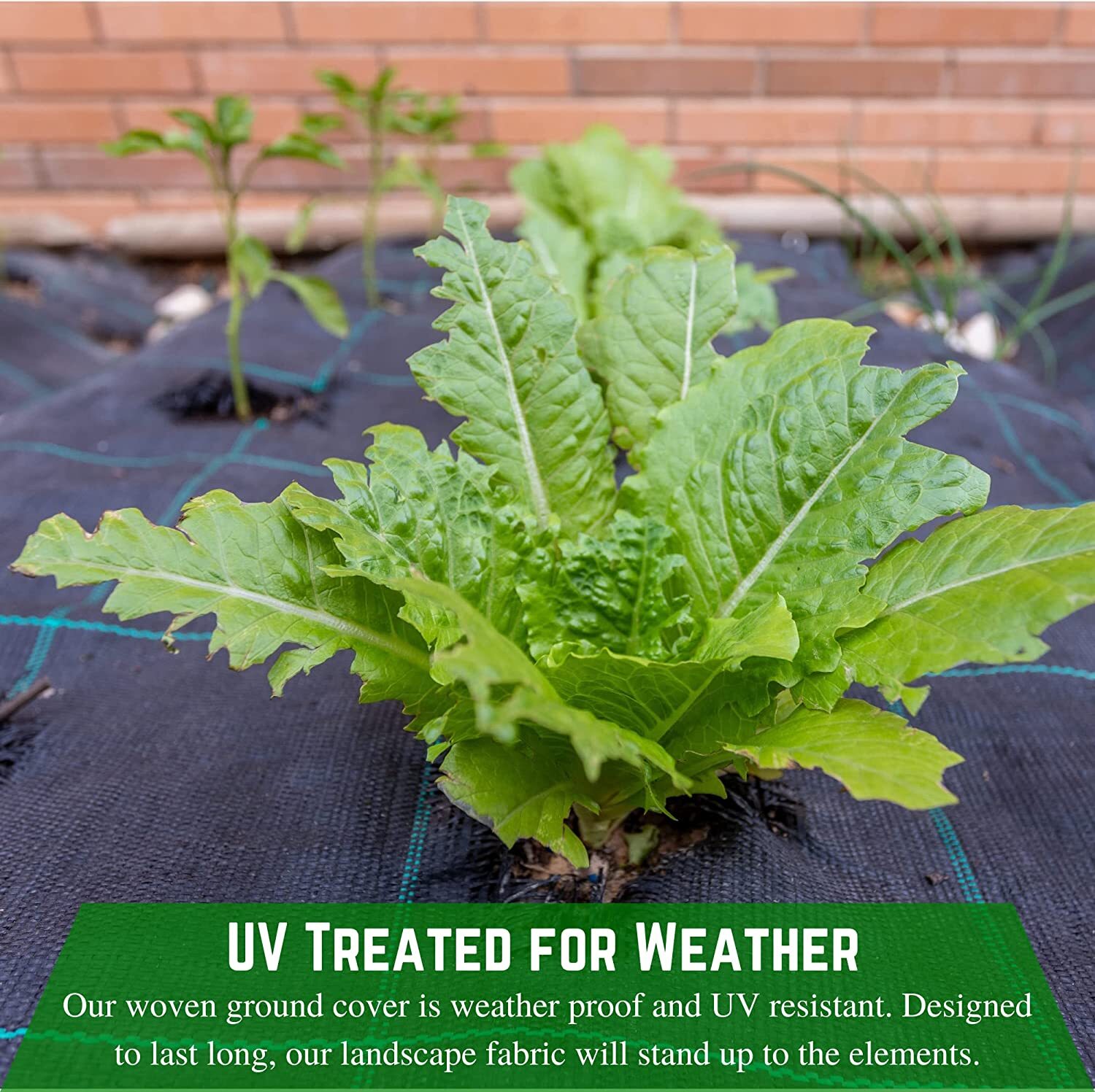 Farm Plastic Supply 3.2oz Ground Cover Weed Barrier Landscape Fabric, 6' x 200'