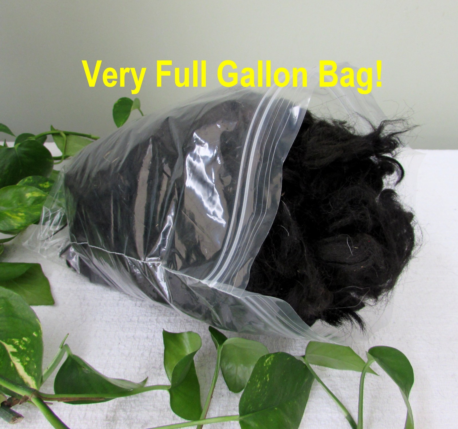 10 Oz! Raw Alpaca 2nds~TRUE BLACK~Wet/Needle Felting-Crafts-Nesting SHIPS FREE!