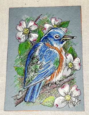 Original ACEO PAINTING EASTERN BLUEBIRD BIRD PORTRAIT ART CARD Sherry Hartman