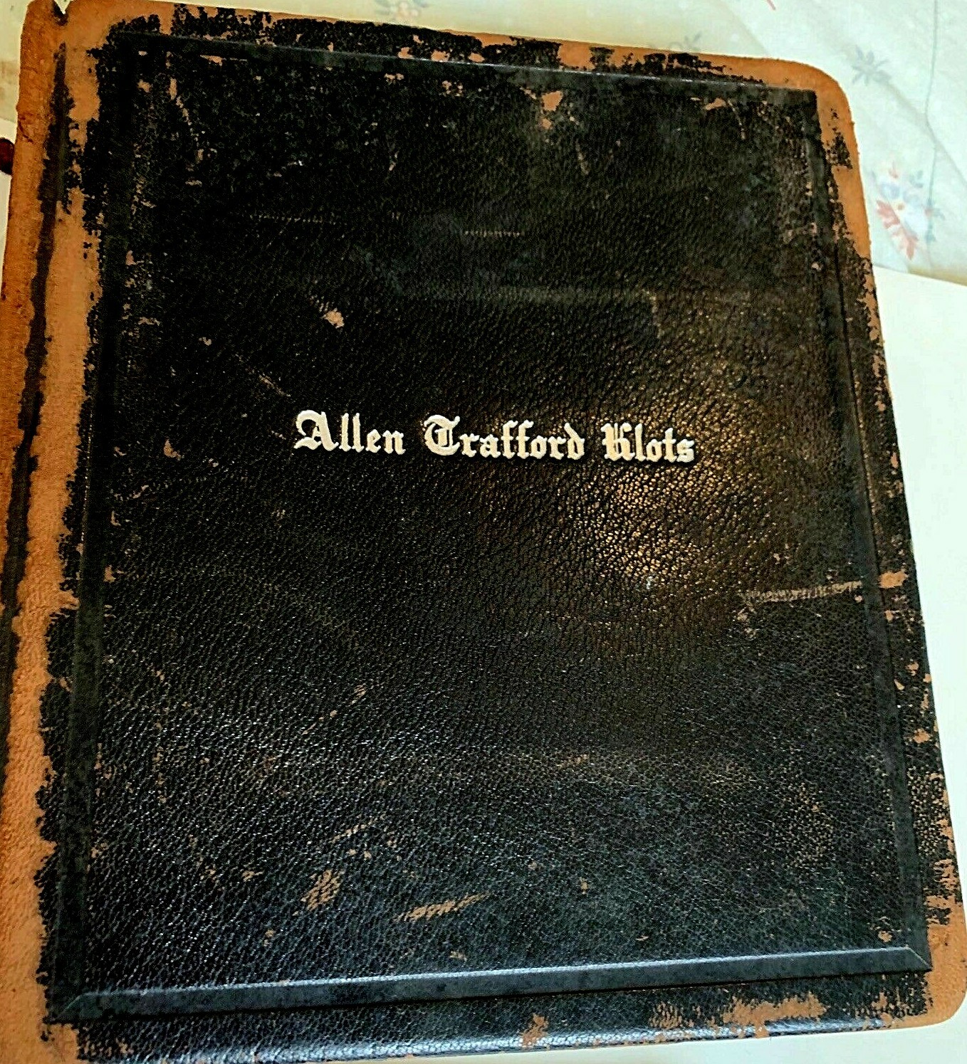 Skull & Bones Secret Society Rare 1909 Club Yearbook Yale University Illuminati