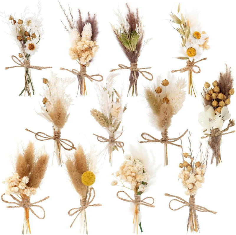 12 Pack Dried Flower Bouquet Mini Natural Pampas Grass for Crafts Small Dried Em