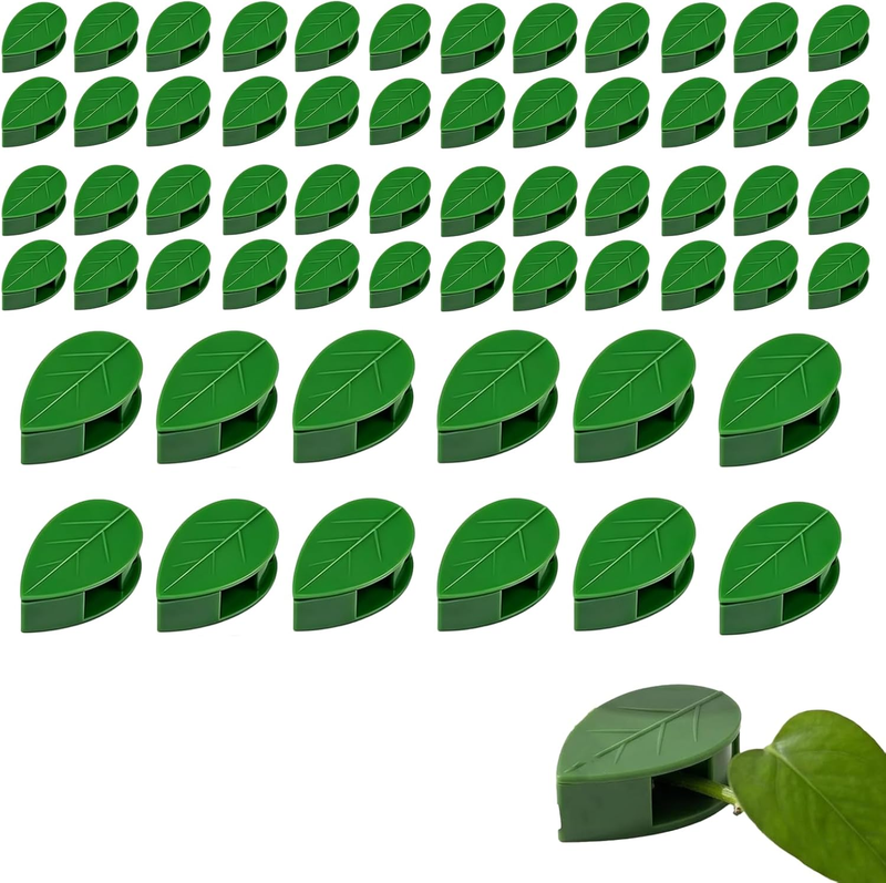 60 Pcs Invisible Plant Climbing Wall Fixture Clips,Hanging Plant Clips, Self-Adh