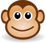 theflooringmonkey
