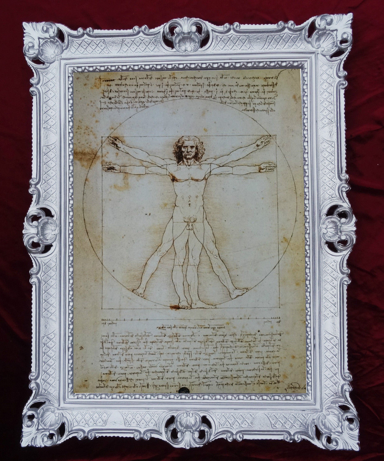 Wandbild Bild von Leonardo da Vinci Vitruvian Man Vitruvianischer Mensch 90x70 eBay