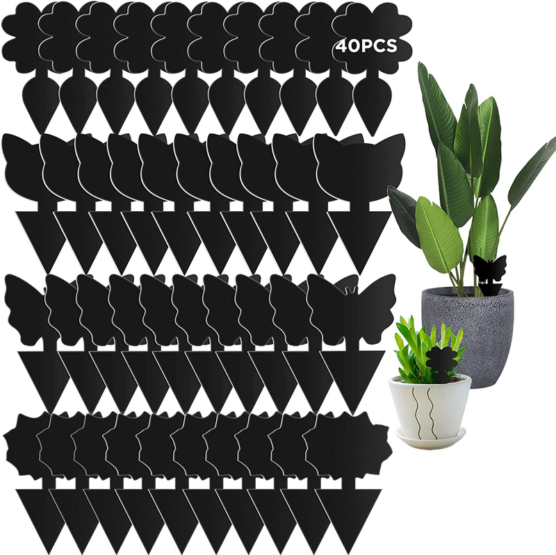 40 PCS Sticky Traps,  Sticky Fruit Fly and Plant Gnat Bug Traps for Indoor/Outdo