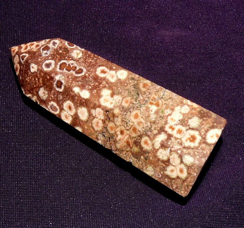 FossilisÃ© Corail,Achatisiert,IndonÃ©Sie 56,8g,70x26x19mm Fossil