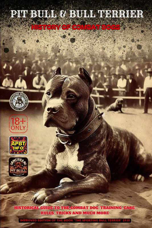 PIT BULL BULL TERRIER: HISTORY of COMBAT DOGS the New UK