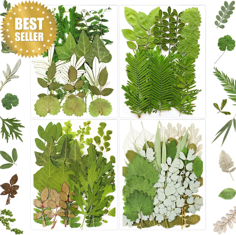 84Pcs Pressed Dried Leaves for Resin Molds, Assorted Real Natural Bulk Dry Flowe