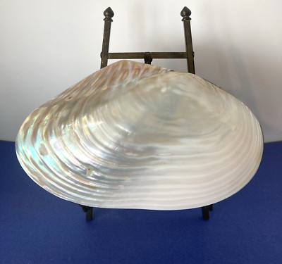 Large Handmade Natural Polished Iridescent Clam Shell Trinket /Treasure Box