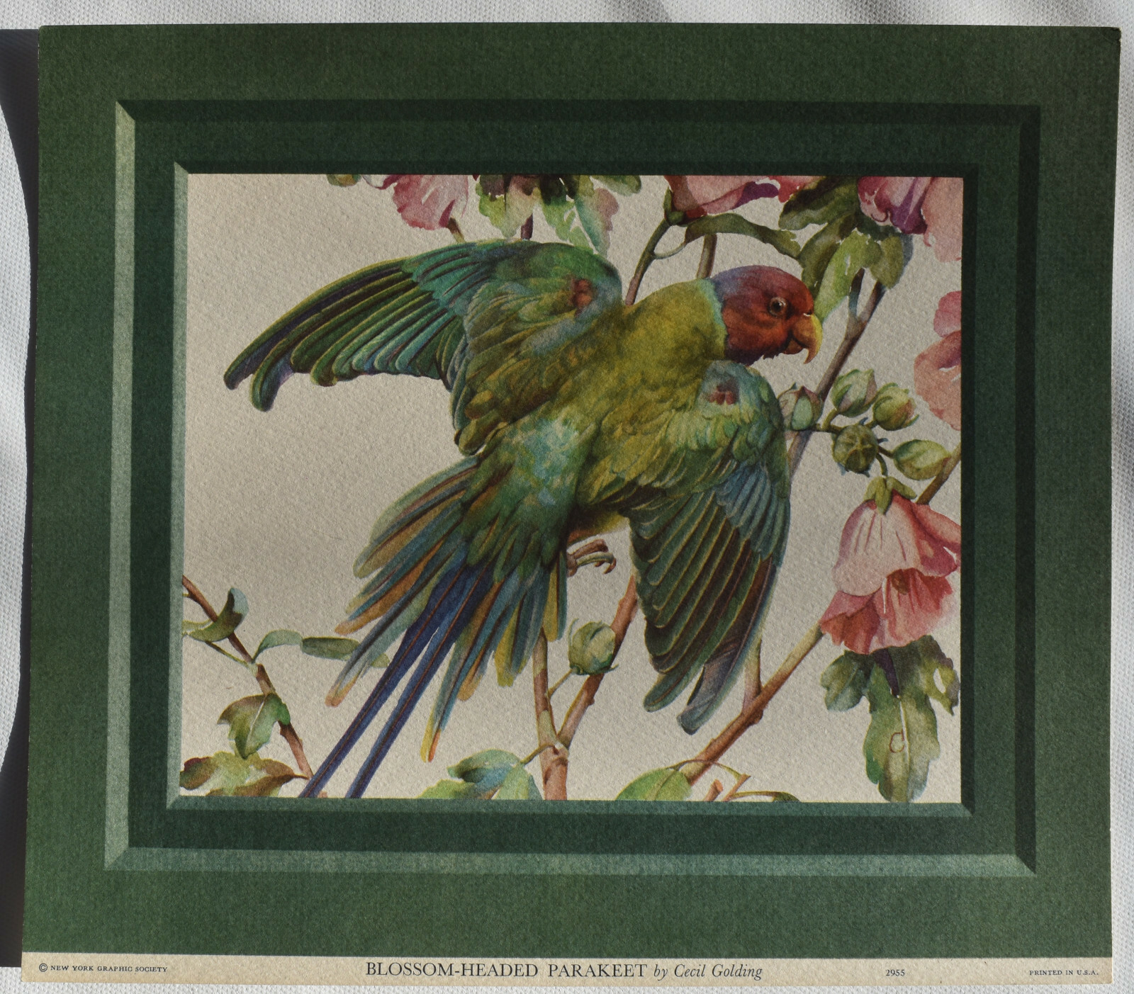 セシル・ゴールディング（Cecil Golding）プリントアート 2点セット CECIL GOLDING BIRD PRINTS NEW YORK GRAPHIC SOCIETY, 1940