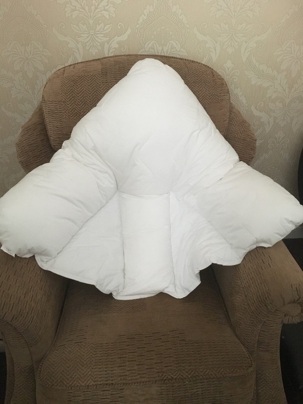 harley batwing pillow