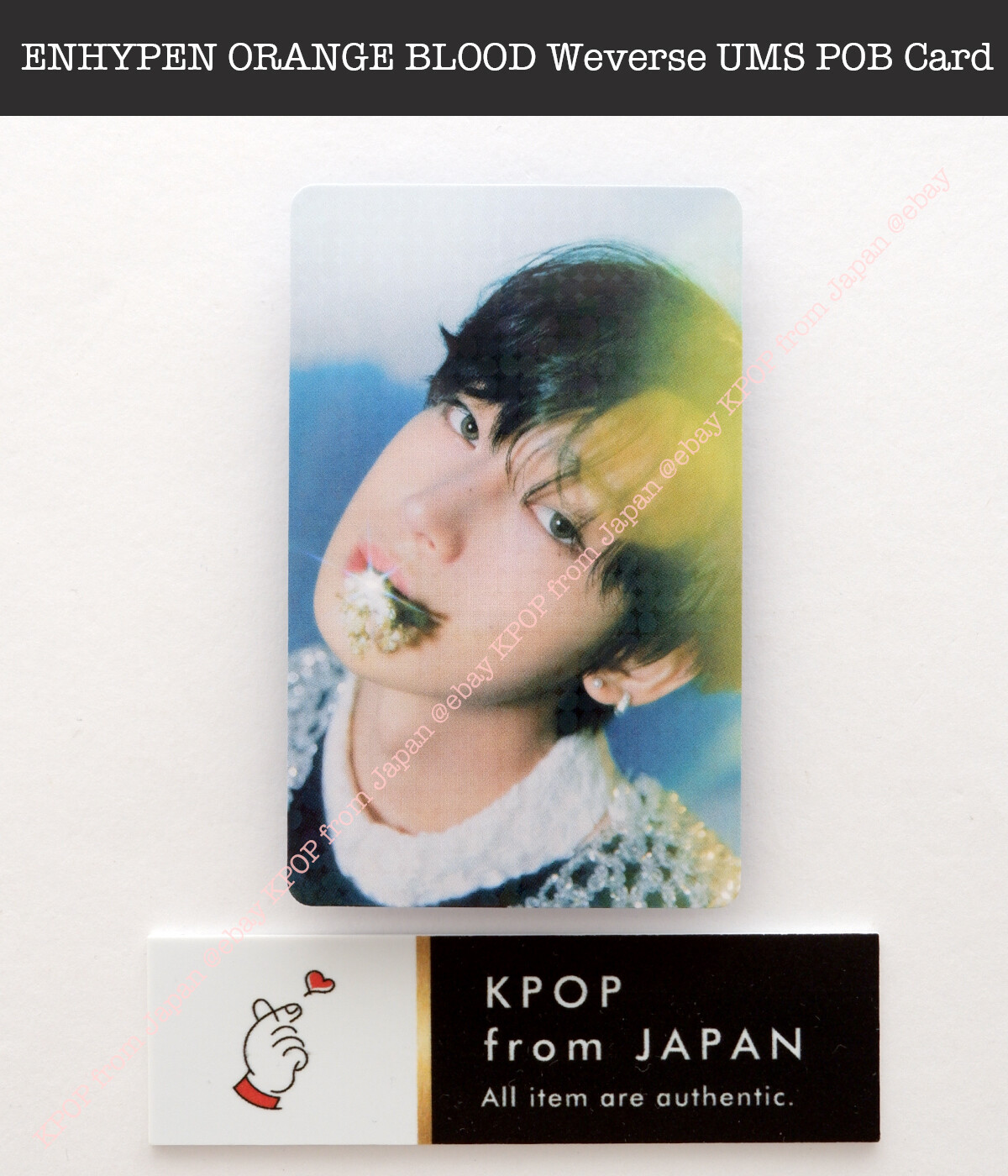 ENHYPEN ツアー記念 ラキドロ JAKE enhypen ジェイク 儚い ラキドロ