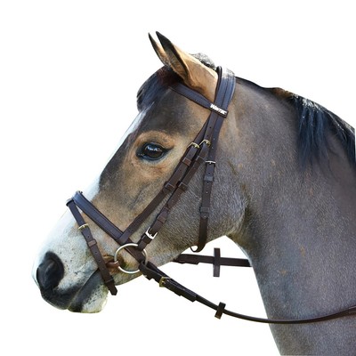 Wintec Bridle with Flash