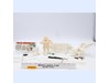 Search for the Abominable Snowman (Sears) 1973 Hasbro 12" Accessory Vintage