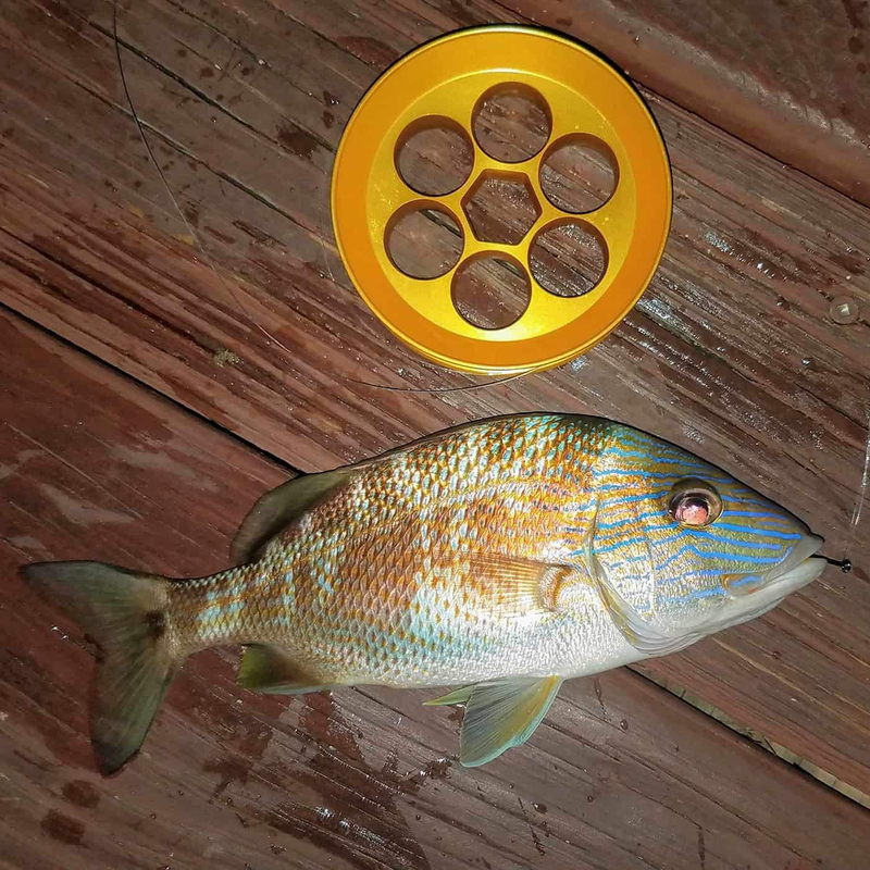 Yoyito Aluminum Fishing Hand Line Reel Pocket/Travel