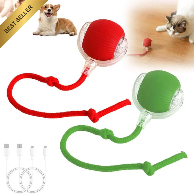 New Upgrade 2PCS Speedy Tail Interactive Rolling Cat Toys Ball,Automatic Moving
