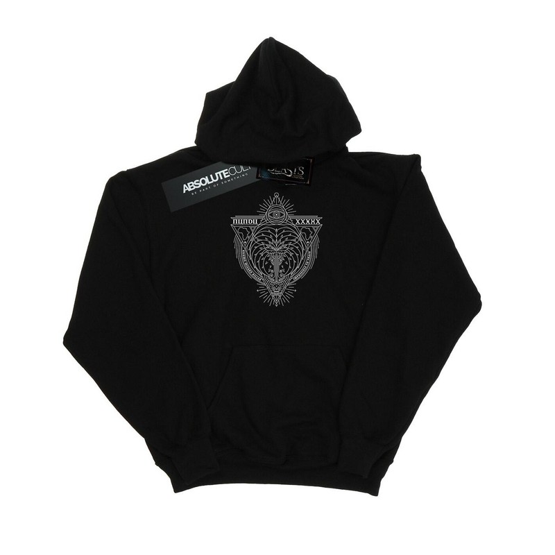 Fantastic Beasts - Sweat Ã  Capuche - Homme (Bi9767)