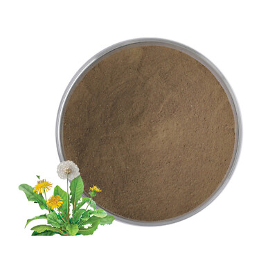 Dandelion Root Extract 10:1 Dandelion flavonoids High Quality