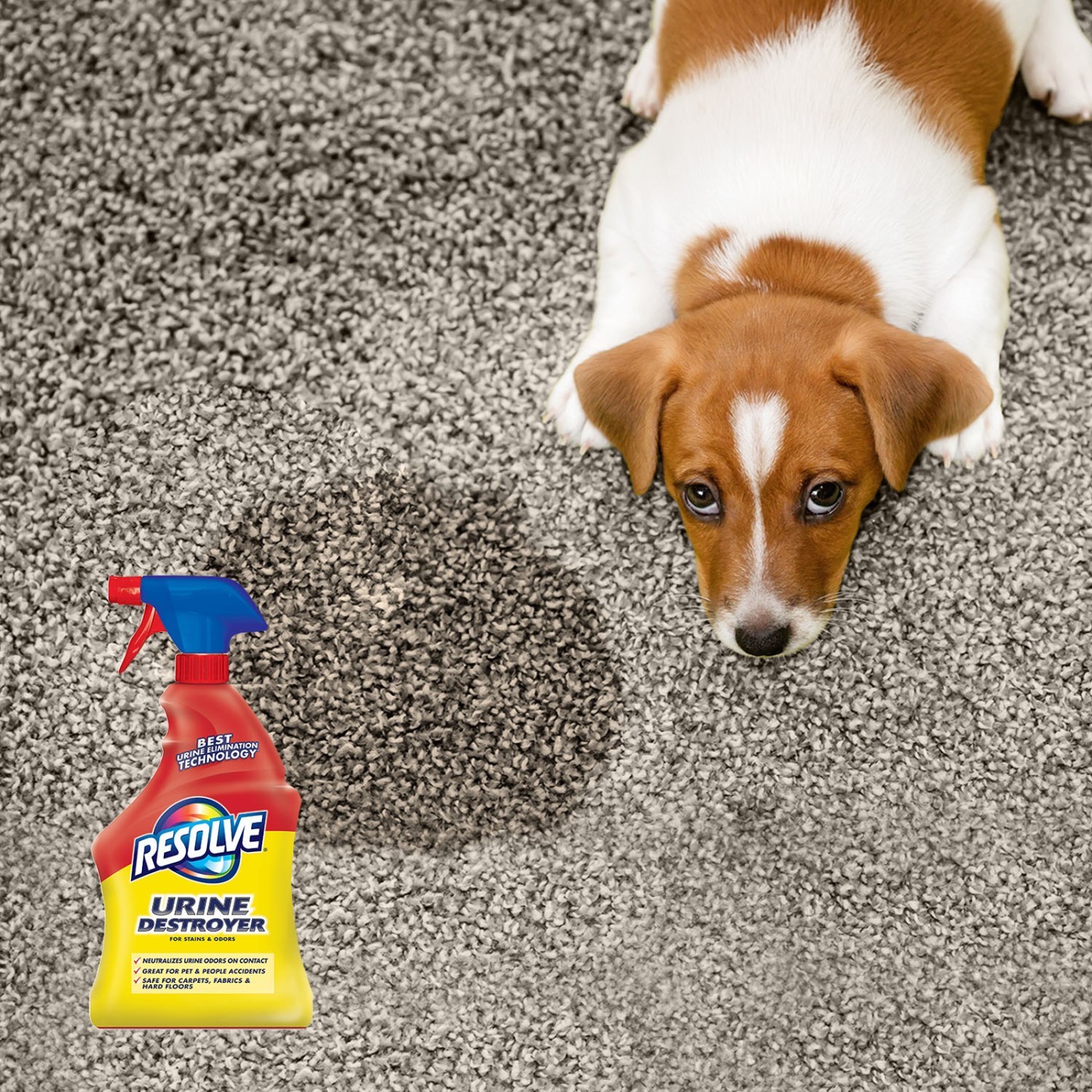 Resolve Urine Destroyer Spray for Pet and People Stains and Odors 32 fl oz