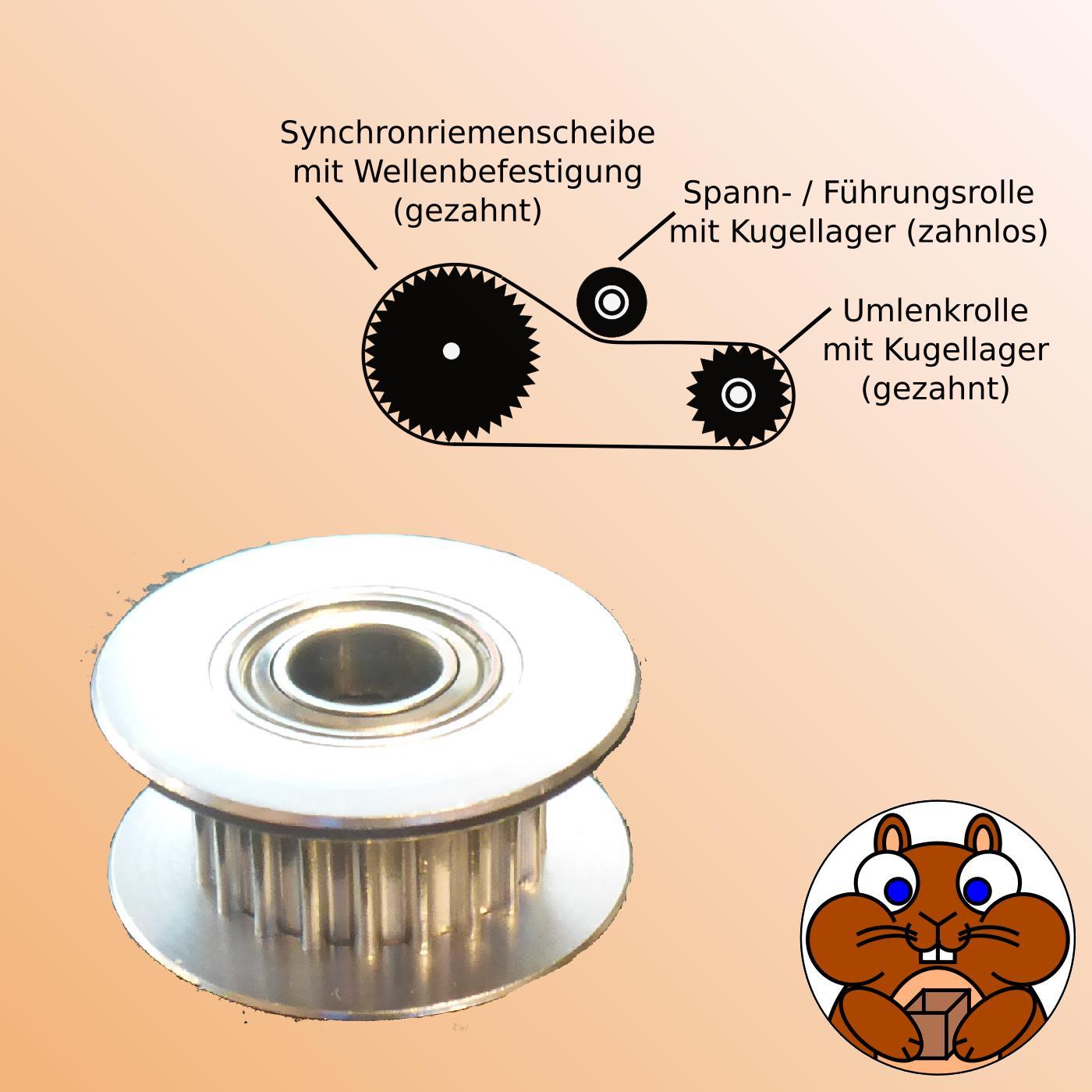 GT2 Zahnriemenrad 26-80 Zähne | Mit Passfedernut, Breite 6 Oder 11mm – Für 3D-Drucker & CNC