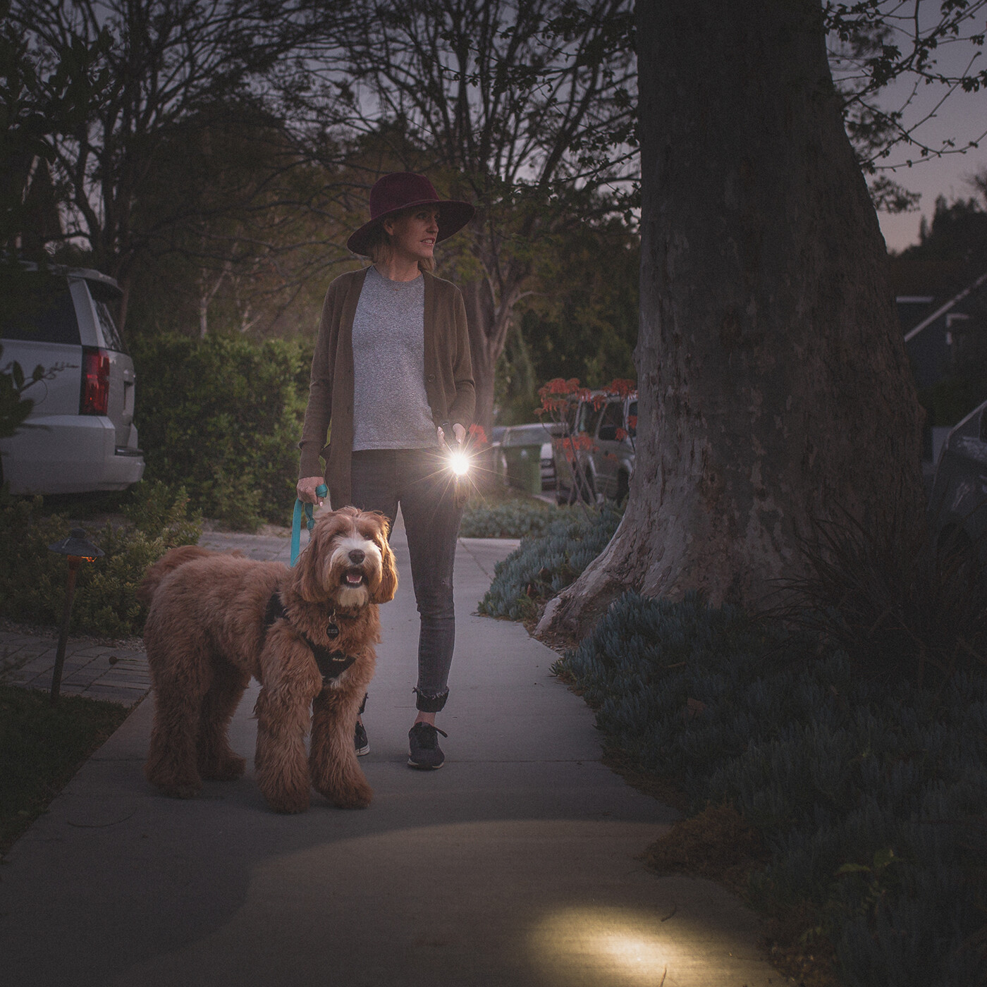 LUXPRO XP915 Compact Tactical Rechargeable 1600 Lumen Flashlight