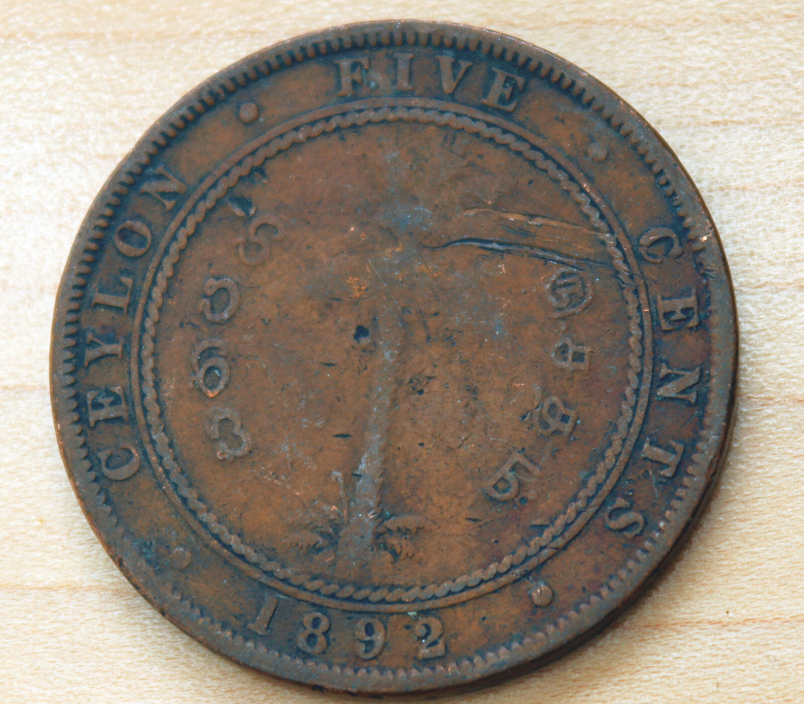 セイロン島　5セント銅貨　1892 NGC VF30 1892 Ceylon Sri Lanka 5 Cents | eBay