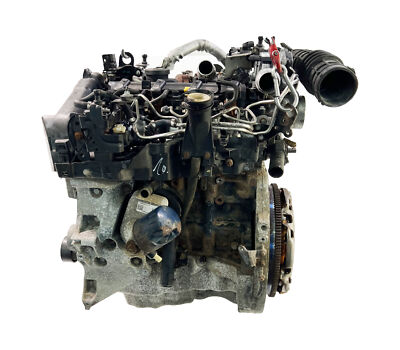 グエン 61CcWdSCUxL._UF350,350_QL50_.jpg