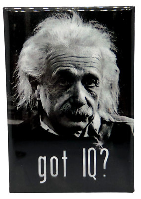 Pinback Button Got IQ? Albert Einstein Equation E = MC2 German