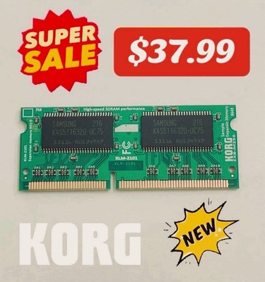 Korg M3 専用 EXB-M256 サンプルメモリー増設用 Korg EXBM256 Sample Memory Expansion Card for M3 and Pa2Xpro