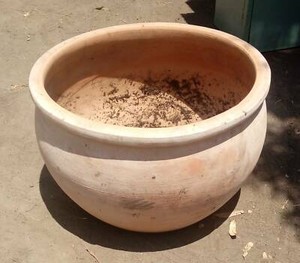 terracotta pot give away | Pots & Garden Beds | Gumtree Australia