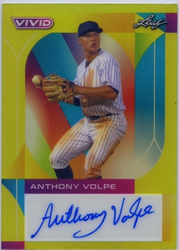 2022 Leaf Vivid - Anthony Volpe #BA-AV2