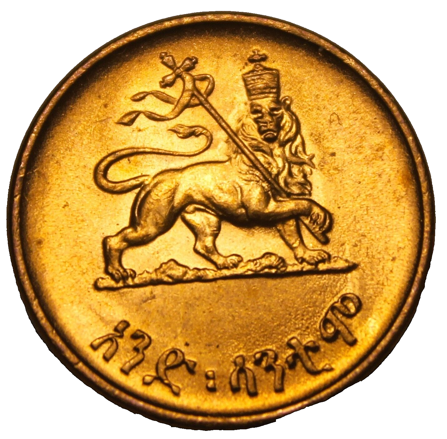 標本 Etiopia Helicopris densissa 35mm $_57.PNG?set_id=880000500F