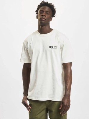 

Футболка Dickies Kelso SS Lifestyle мужская бежевая повседневная спортивная футболка, Бежевый, Dickies Kelso SS Lifestyle T-Shirt