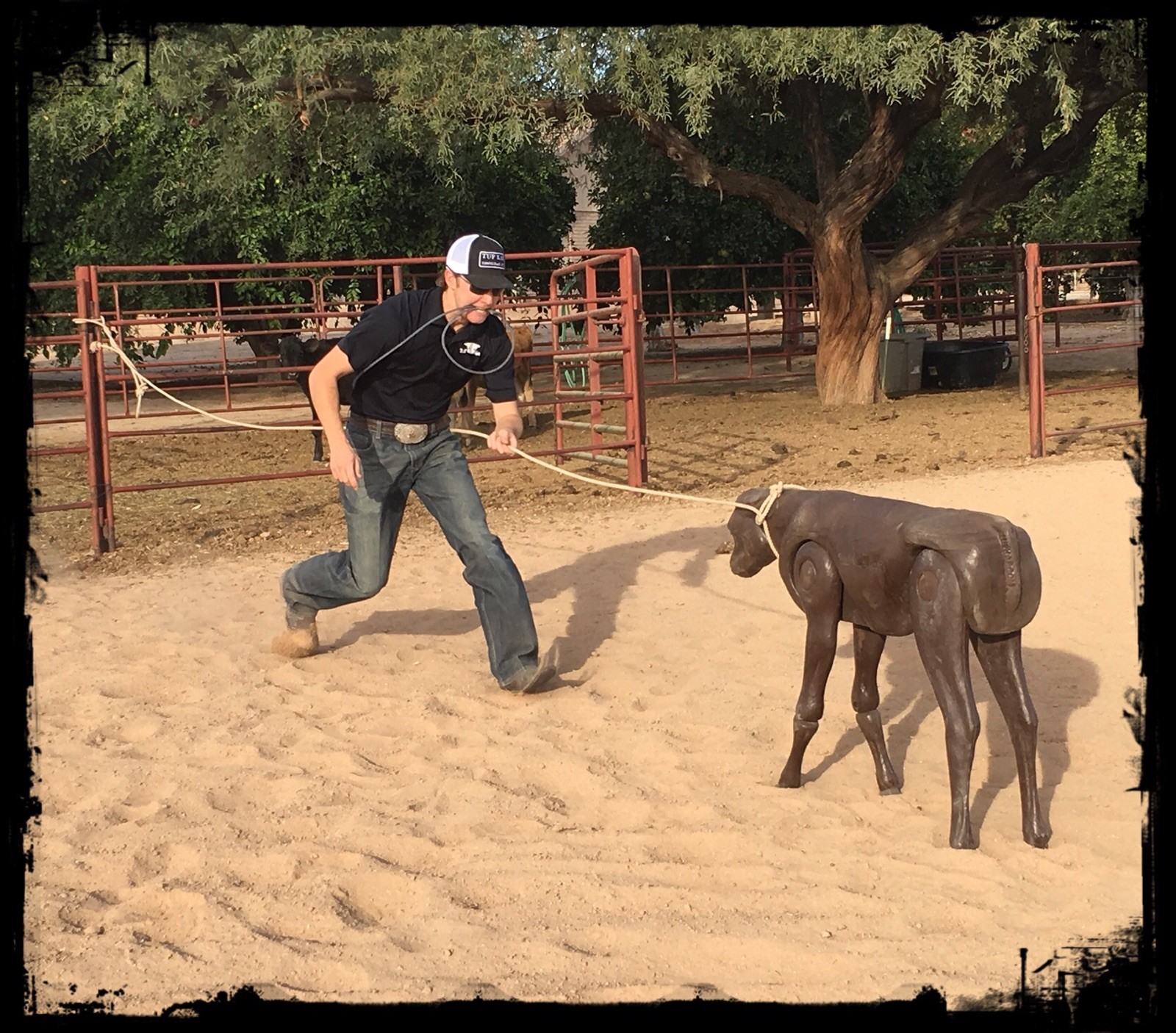 Tuf Kaf 2.0/jr Calf Roping/Breakaway Roping dummy