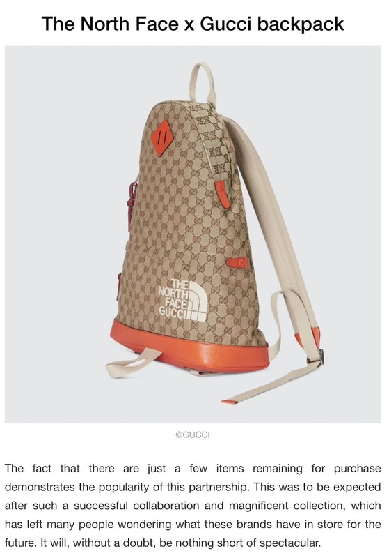 Brand New GUCCI x THE NORTH FACE Backpack | eBay