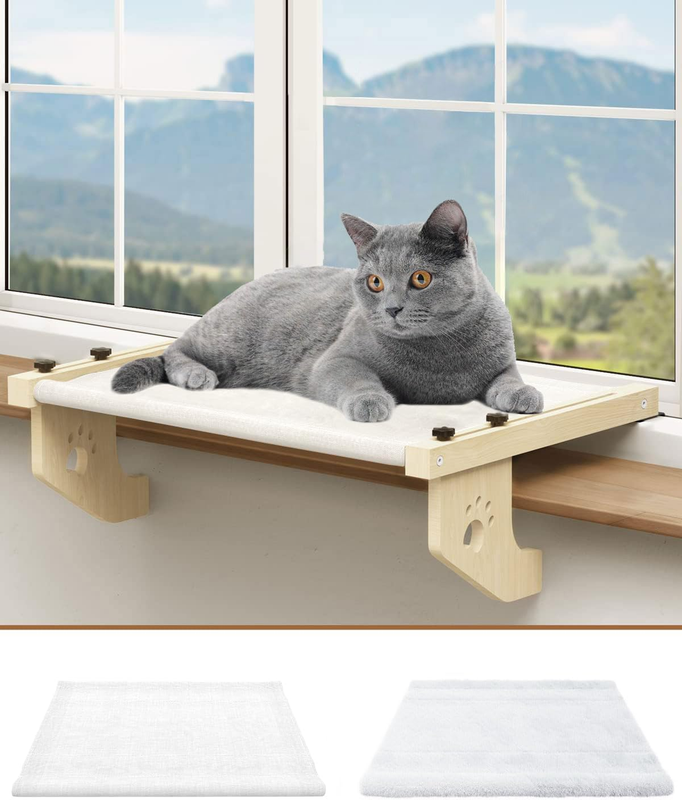 For Kitty Win