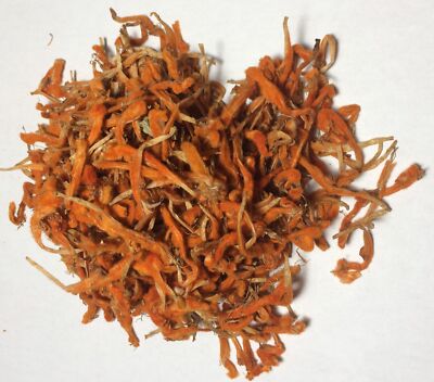 Wild Dagga Flower Petals (Leonotis leonurus) Wildharvested South Africa 2 oz....