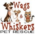 Wags and Whiskers Pet Rescue