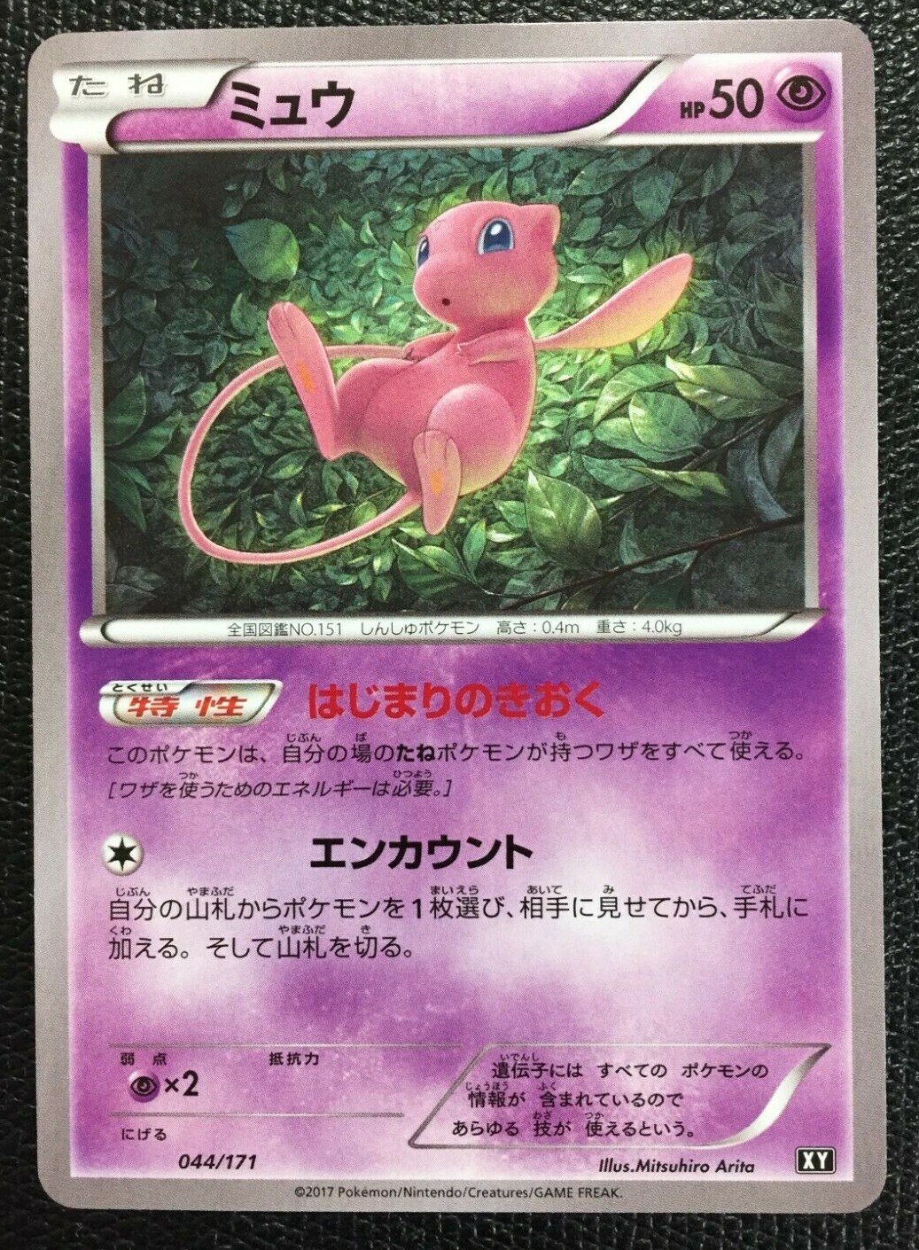 ポケモン - テッド $_57.JPG?set_id=8800005007