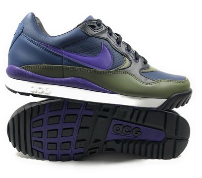 nike hiking shoes womens