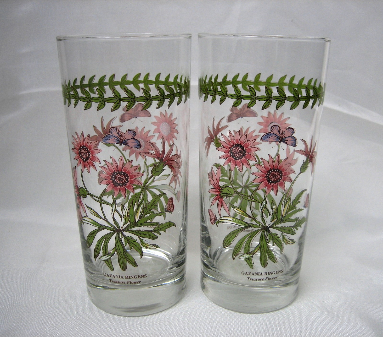 Portmeirion BOTANIC GARDEN Gazania Ringens Treasure Flower 16 Oz Highball Glass