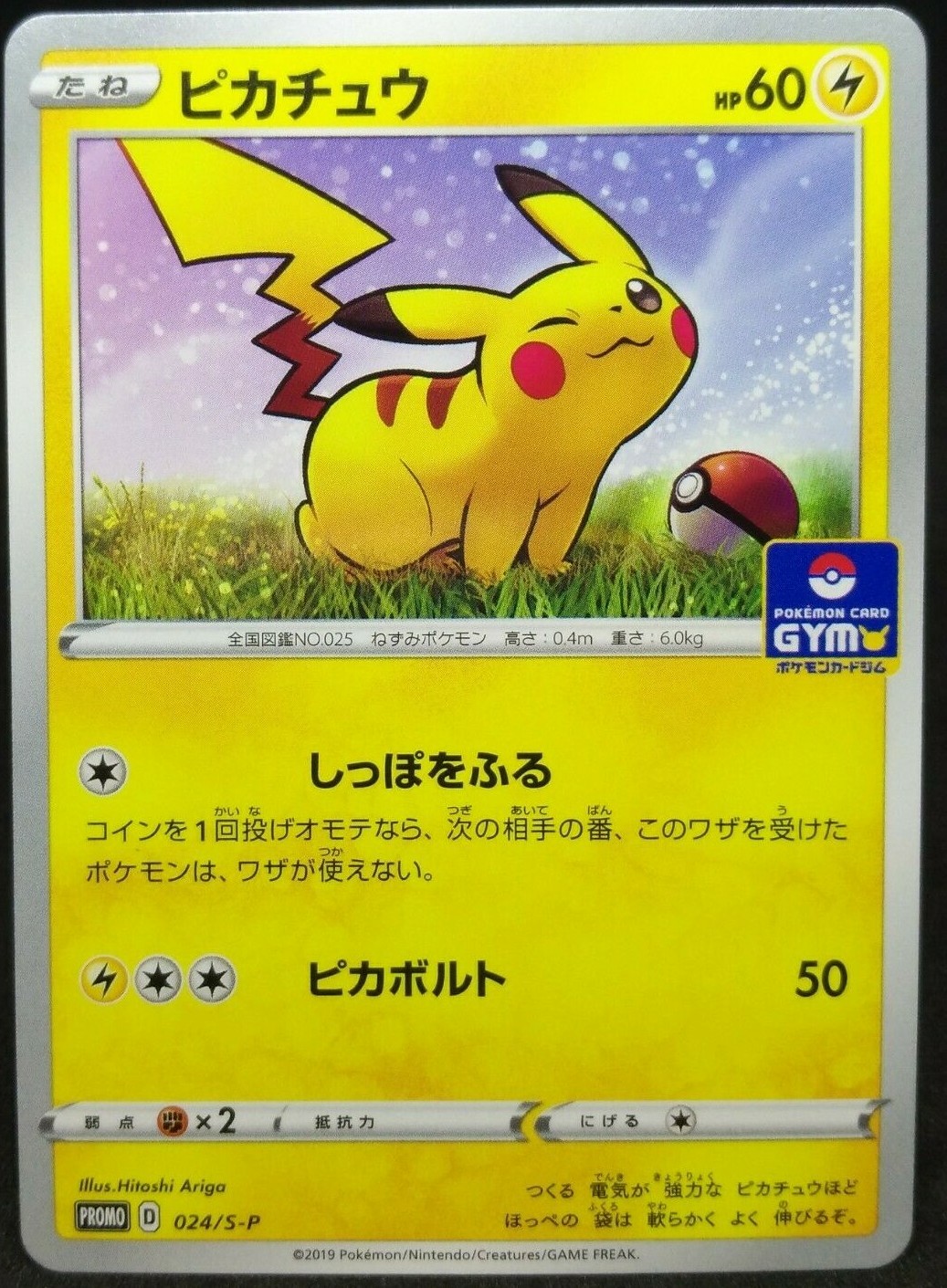 Pikachu Pokemon Card PROMO D 024/S-P 2019 Japanese Nintendo