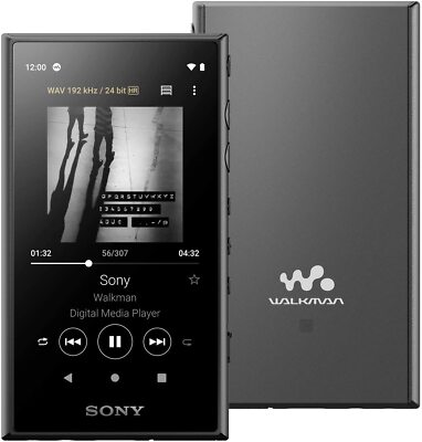 SONY NW-A45 Digital Audio Player DAP Walkman 16GB Grayish